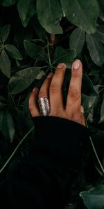 Miscellanea,Miscellaneous,Ring,Hand,Leaves