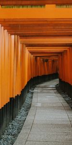 Miscellanea,Miscellaneous,Road,Sinuous,Winding,Prospect,Tunnel,Perspective