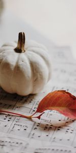 Miscellanea,Miscellaneous,Sheet,Leaf,Notes,Autumn,Pumpkin,Music