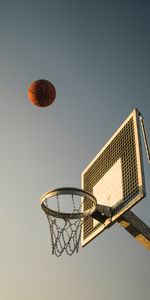 Misceláneo,Proteger,Escudo,Bola,Anillo De Baloncesto,Miscelánea,Pelota,Aro De Baloncesto