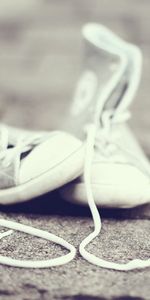 Miscellanea,Miscellaneous,Sneakers,Inscription,Shoes,Footwear,Shoelaces,Laces,Love