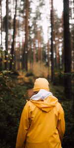 Miscellanea,Miscellaneous,Stroll,Person,Nature,Forest,Human