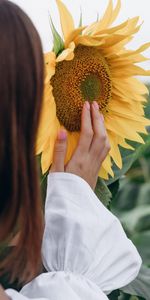 Tournesol,Main,Divers,Fleur,Fille