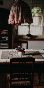 Miscellanea,Miscellaneous,Table,Premises,Furniture,Chairs,Interior,Flower,Room