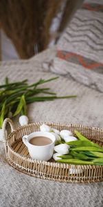 Miscellanea,Miscellaneous,Tulips,Interior,Coffee,Spring