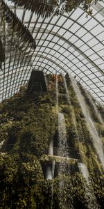 Miscellanea,Miscellaneous,Waterfall,Design,Construction,Greenhouse,Plants