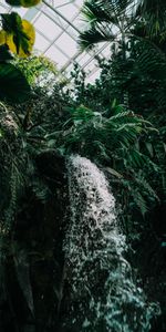 Miscellanea,Miscellaneous,Waterfall,Garden,Plants