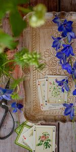 Miscellanea,Miscellaneous,Wood,Scissors,Flowers,Wooden,Cards,Still Life