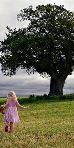 Miscellanea,Miscellaneous,Wood,Tree,Field,Mood,Girl