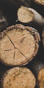 Bois,Arbre,Bois De Chauffage,Journaux,Bois À Brûler,Divers