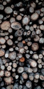 Miscellanea,Miscellaneous,Wood,Tree,Firewood,Logs,Wooden