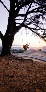 Miscellanea,Miscellaneous,Wood,Tree,View,Nature,Swing,Girl