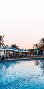 Mare,Divers,Se Reposer,Piscine,Relaxation,Palms,Tropiques