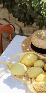 Miscellanea,Table,Bag,Hat,Lemons,Miscellaneous,Citrus