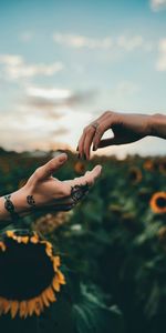 Miscellanea,Touching,Touch,Tattoos,Miscellaneous,Hands,Tattoo,Sunflowers