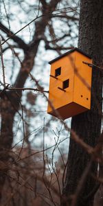 Miscellanea,Tree,Birdhouse,Brown,Wood,Miscellaneous