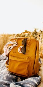 Miscellaneous,Cloth,Ears,Spikes,Backpack,Rucksack,Spectacles,Handkerchief,Kerchief,Miscellanea,Glasses