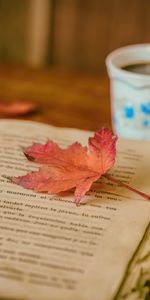 Automne,Feuilles,Coupe,Une Tasse,Confort,Café,Divers,En Train De Lire,Lecture,Livre