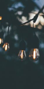 Miscellaneous,Evening,Light Bulbs,Miscellanea,Garland,Glow