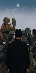 Divers,Chapeau,Solitude,Homme,Cactus,Lune