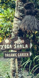 Miscellaneous,Wood,Tree,Signboard,Organic,Miscellanea,Garden,Organic Fertilizer,Sign,Yoga