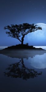 Moon,Trees,Landscape