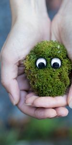 Moss,Miscellanea,Miscellaneous,Eyes,Hands