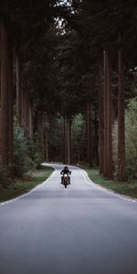 Motorcycle,Road,Movement,Turn,Forest,Traffic,Motorcycles,Motorcyclist