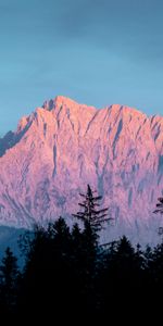 Mountain,Fog,Dusk,Nature,Trees,Twilight,Landscape