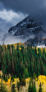 Mountain,Fog,Nature,Trees,Forest