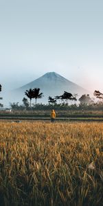 Naturaleza,Montaña,Intimidad,Palms,Reclusión,Campo,Indonesia,Soledad