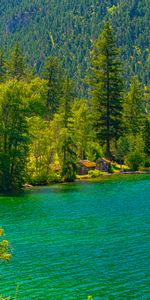 Naturaleza,Montaña,Lago,Orilla,Banco,Bosque,Casas,Casas Pequeñas