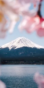 Mountain,Top,Vertex,Fujiyama,Nature,Fuji,Volcano,Japan