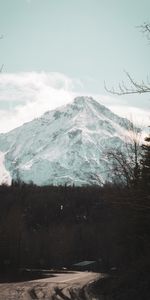 Mountain,Vertex,Snow Covered,Snowbound,Nature,Top,Forest