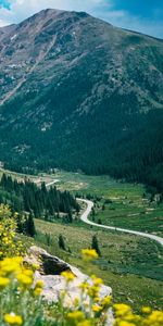 Naturaleza,Árboles,Montaña,Arriba,Camino,Vértice,Flores