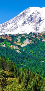 Montagne,Retour Au Début,Snowbound,Pente,Nature,Sommet,Couvert De Neige,Forêt