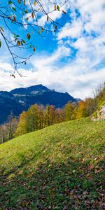 Mountains,Branches,Slope,Landscape,Nature,Forest