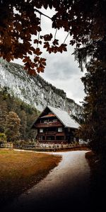 Mountains,Building,Rocks,Road,Branches,Nature