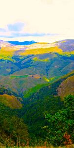 Mountains,Bush,Nature,Trees,Landscape