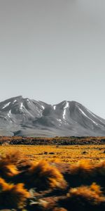 Mountains,Bush,Nature,Vertex,Stones,Landscape,Tops