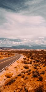 Mountains,Bush,Road,Markup,Prairie,Dahl,Nature,Distance