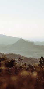 Roches,Montagnes,Les Rochers,Nature,Buissons,Cactus