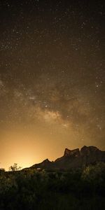 Mountains,Bush,Starry Sky,Nature