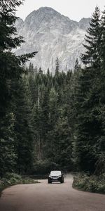 Route,Forêt,Vus,Machine,Voitures,Montagnes,Une Voiture