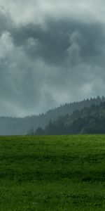 Nature,Nuages,Forêt,Brouillard,Montagnes,Pelouse