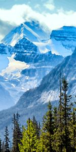 Nuages,Épicéa,Sapin,Nature,Arbres,Montagnes