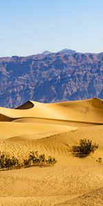 Désert,Liens,Buissons,Nature,Montagnes,Sable,Dunes