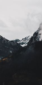 Mountains,Fog,Alpine,Forest,Nature,Landscape