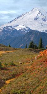 Mountains,Fog,Vegetation,Ate,Nature,Autumn