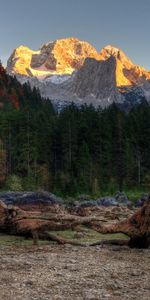 Montañas,Bosque,Driftwood,Madera Flotante,Naturaleza,Stones,Paisaje